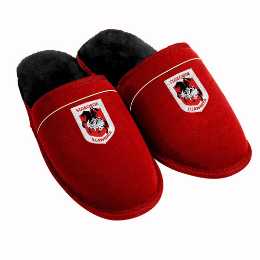 Dragons Slippers